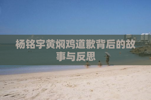 杨铭宇黄焖鸡道歉背后的故事与反思