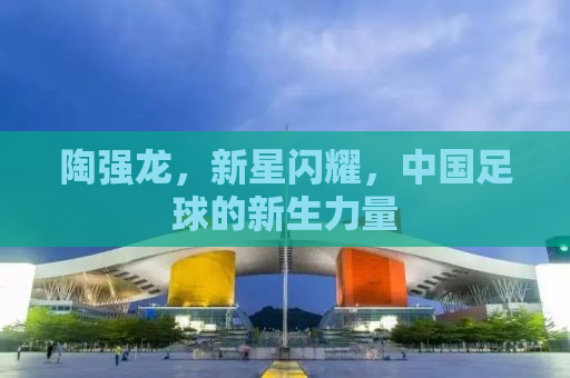 陶强龙，新星闪耀，中国足球的新生力量