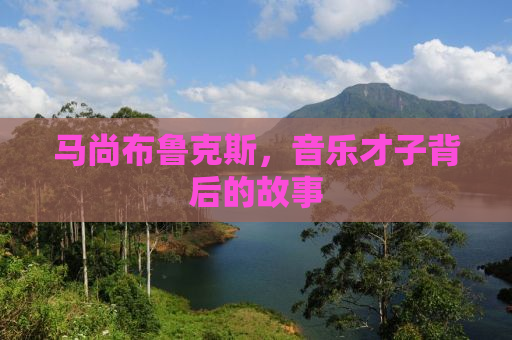 马尚布鲁克斯，音乐才子背后的故事