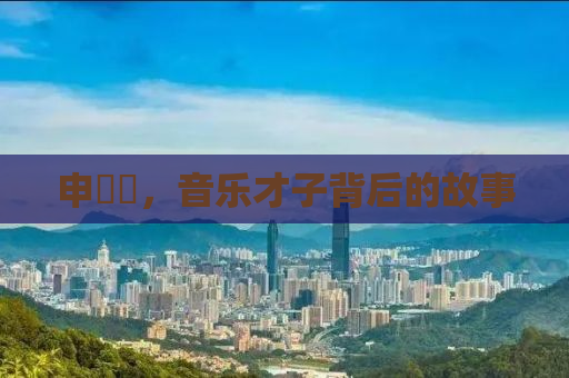 申旻埈，音乐才子背后的故事