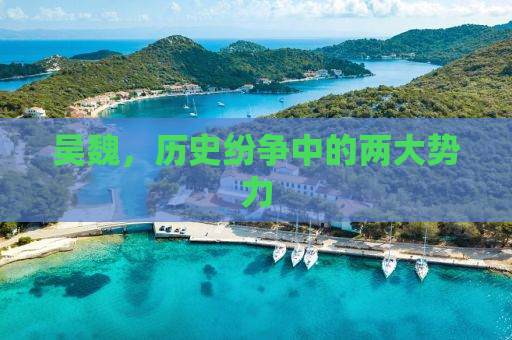 吴魏，历史纷争中的两大势力