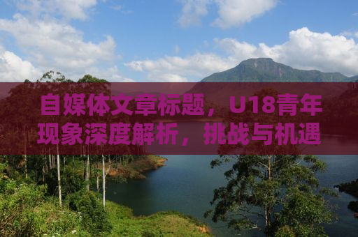 自媒体文章标题，U18青年现象深度解析，挑战与机遇并存的时代印记