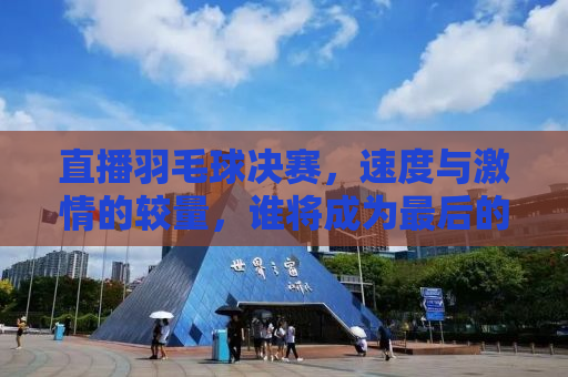 直播羽毛球决赛，速度与激情的较量，谁将成为最后的王者？