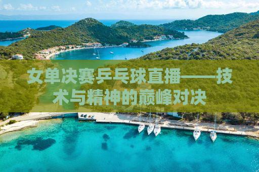 女单决赛乒乓球直播——技术与精神的巅峰对决