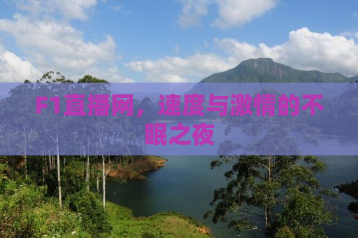F1直播网，速度与激情的不眠之夜