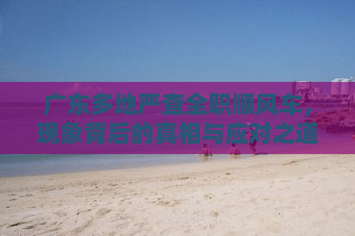广东多地严查全职顺风车，现象背后的真相与应对之道