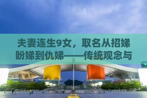 夫妻连生9女，取名从招娣盼娣到仇娣——传统观念与现代社会的碰撞