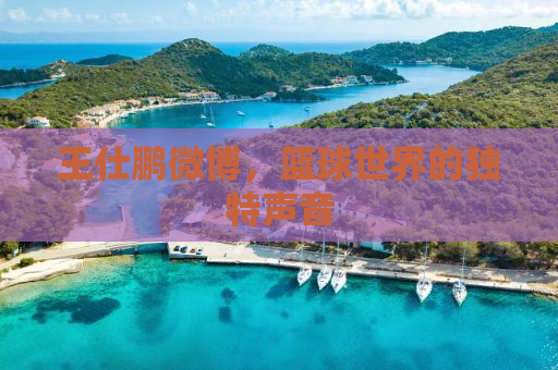王仕鹏微博，篮球世界的独特声音