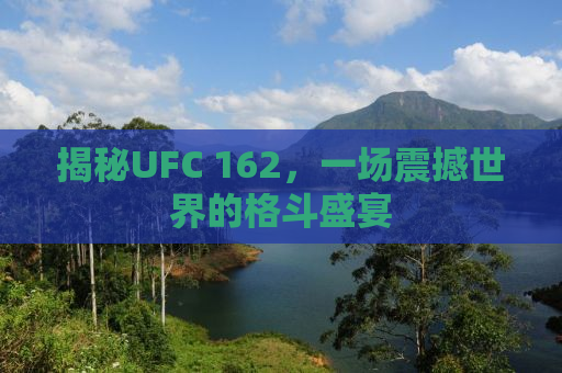 揭秘UFC 162，一场震撼世界的格斗盛宴