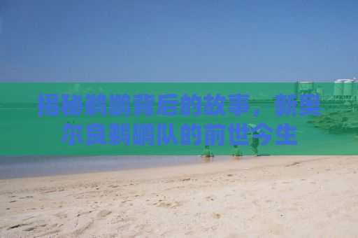 揭秘鹈鹕背后的故事，新奥尔良鹈鹕队的前世今生