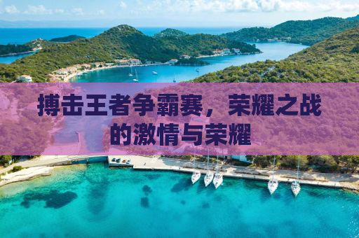 搏击王者争霸赛，荣耀之战的激情与荣耀