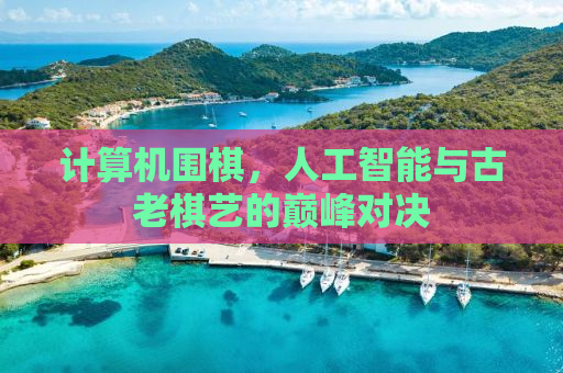 计算机围棋，人工智能与古老棋艺的巅峰对决