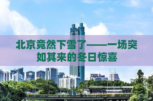 北京竟然下雪了——一场突如其来的冬日惊喜
