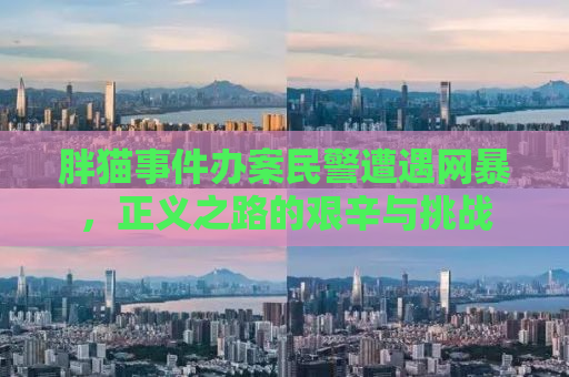 胖猫事件办案民警遭遇网暴，正义之路的艰辛与挑战