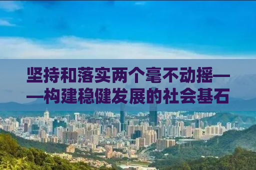 坚持和落实两个毫不动摇——构建稳健发展的社会基石