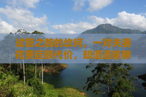 试管之路的坎坷，一对夫妻花费巨额代价，却遭遇输卵管切除的无奈经历