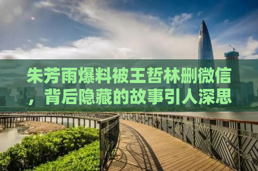 朱芳雨爆料被王哲林删微信，背后隐藏的故事引人深思