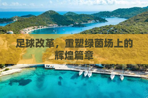 足球改革，重塑绿茵场上的辉煌篇章