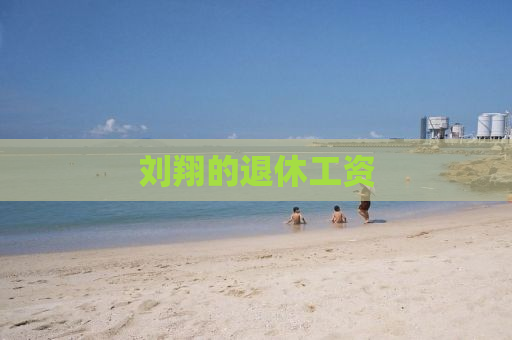 刘翔的退休工资