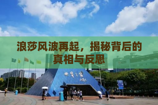 浪莎风波再起，揭秘背后的真相与反思