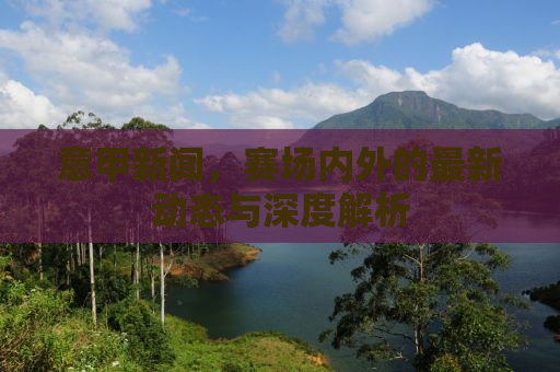 意甲新闻，赛场内外的最新动态与深度解析
