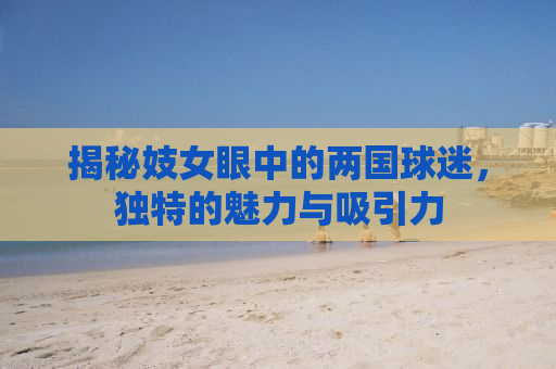 揭秘妓女眼中的两国球迷，独特的魅力与吸引力