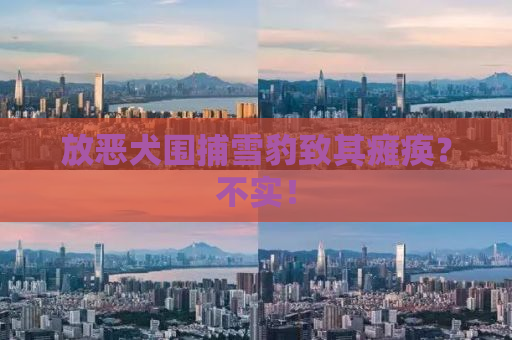 放恶犬围捕雪豹致其瘫痪？不实！