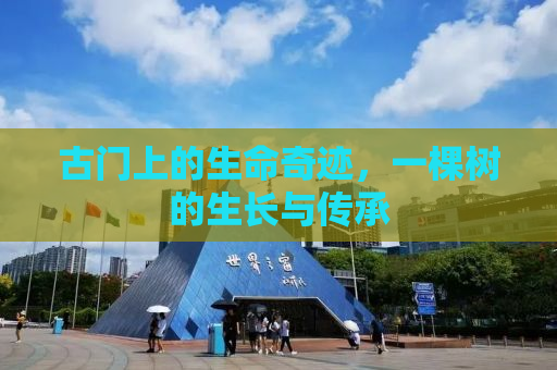 古门上的生命奇迹，一棵树的生长与传承