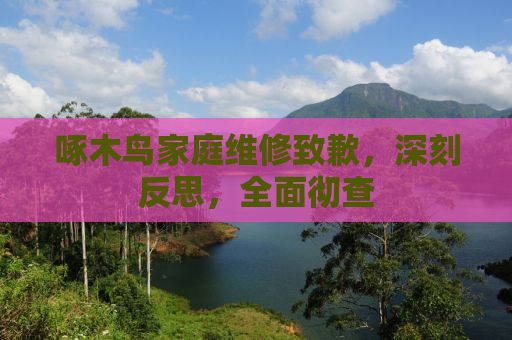 啄木鸟家庭维修致歉，深刻反思，全面彻查