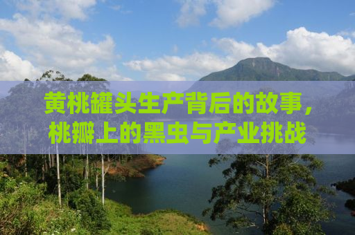 黄桃罐头生产背后的故事，桃瓣上的黑虫与产业挑战