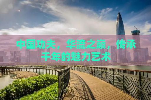 中国功夫，华流之巅，传承千年的魅力艺术