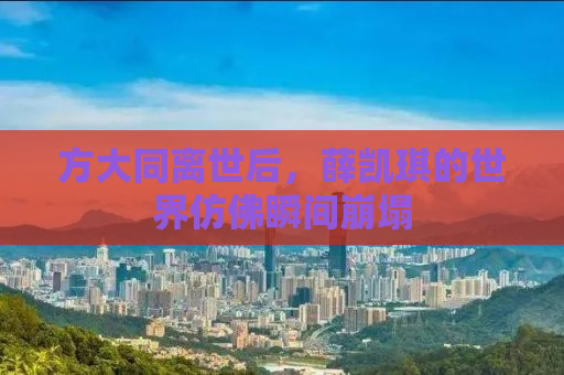 方大同离世后，薛凯琪的世界仿佛瞬间崩塌