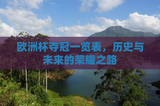 欧洲杯夺冠一览表，历史与未来的荣耀之路