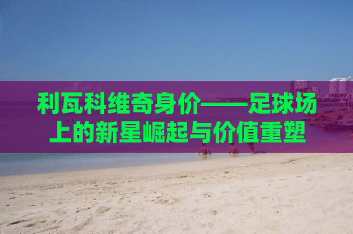 利瓦科维奇身价——足球场上的新星崛起与价值重塑