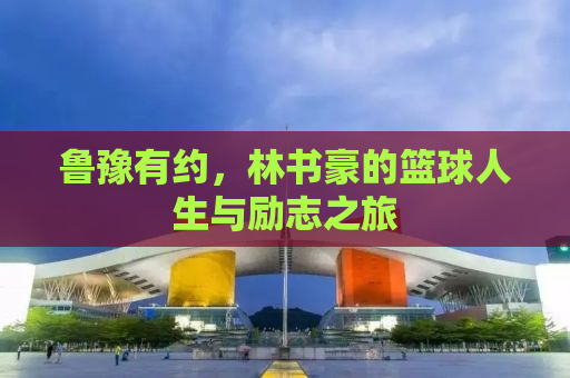 鲁豫有约，林书豪的篮球人生与励志之旅