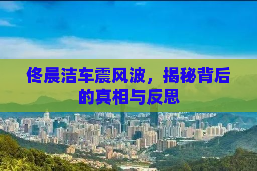 佟晨洁车震风波，揭秘背后的真相与反思
