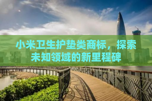 小米卫生护垫类商标，探索未知领域的新里程碑