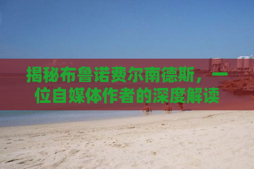 揭秘布鲁诺费尔南德斯，一位自媒体作者的深度解读