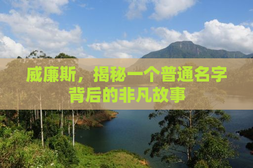 威廉斯，揭秘一个普通名字背后的非凡故事