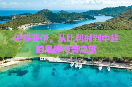 巴舒亚伊，从比利时到中超的足球传奇之旅