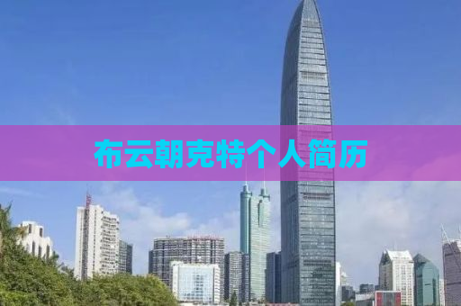 布云朝克特个人简历