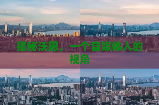 揭秘沃恩，一个自媒体人的视角