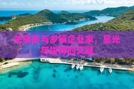 关晓彤与乡镇企业家，星光与拼搏的交融