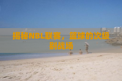 揭秘NBL联赛，篮球的次级别战场