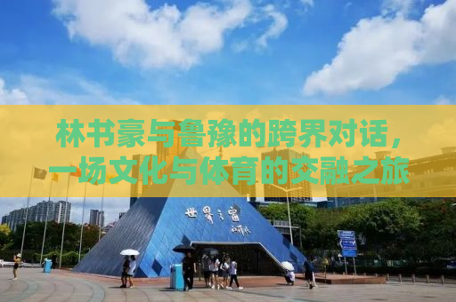 林书豪与鲁豫的跨界对话，一场文化与体育的交融之旅