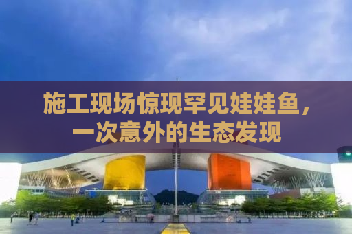 施工现场惊现罕见娃娃鱼，一次意外的生态发现