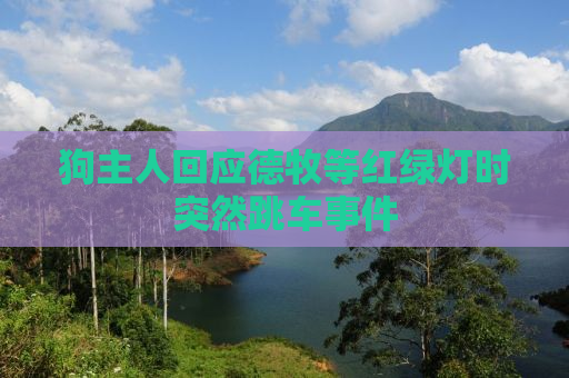 狗主人回应德牧等红绿灯时突然跳车事件