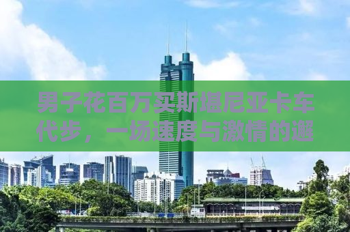 男子花百万买斯堪尼亚卡车代步，一场速度与激情的邂逅