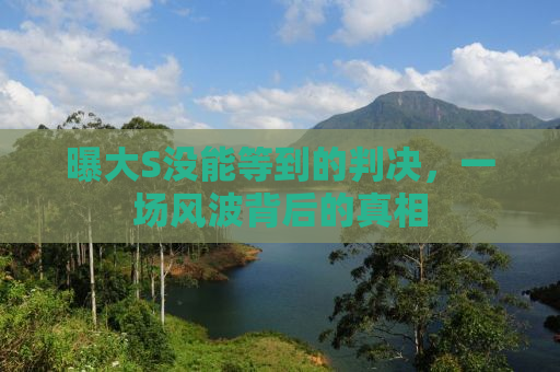 曝大S没能等到的判决，一场风波背后的真相