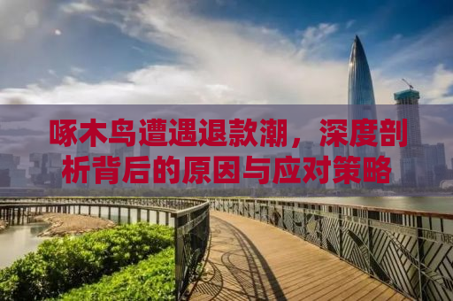 啄木鸟遭遇退款潮，深度剖析背后的原因与应对策略